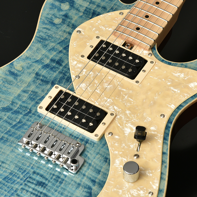 bacchus T-CUSTOM FT/M テレキャスタータイプ T-CUSTOM・FT/M | Deviser ｜株式会社ディバイザー｜長野県松本市の
