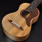 SH GUITARS top page | Deviser ｜株式会社ディバイザー｜長野県松本市