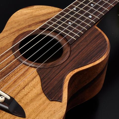 SH Guitars 新製品登場！ | Deviser ｜株式会社ディバイザー｜長野県