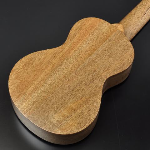 SH Guitars 新製品登場！ | Deviser ｜株式会社ディバイザー｜長野県