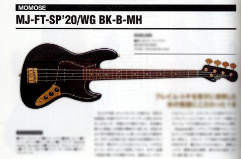 Premium | Deviser ｜株式会社ディバイザー｜長野県松本市のギターメーカー