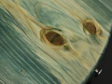 節をボディの目立つ場所にくるようデザインしました。 節をボディの目立つ場所にくるようデザインしました。