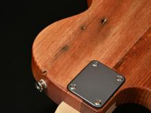 虫食いの穴が見られます 虫食いの穴が見られます