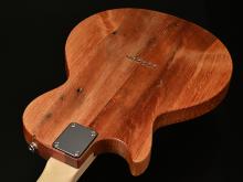 Bacchus Guitars新モデルPARROT Bacchus Guitars新モデルPARROT