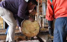 水気を含む切りたてのアカマツは二人がかりでも非常に重たいものです。 水気を含む切りたてのアカマツは二人がかりでも非常に重たいものです。