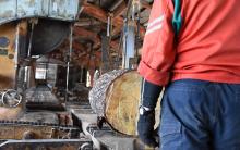 製材所にて。非常に大きな機械で材を切り出します。 製材所にて。非常に大きな機械で材を切り出します。