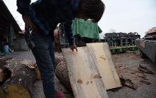 切り出した材には虫食いの穴や節が目立ちます。 切り出した材には虫食いの穴や節が目立ちます。