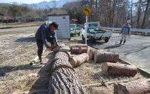 アカマツを適度なサイズの丸太に切り出す アカマツを適度なサイズの丸太に切り出す