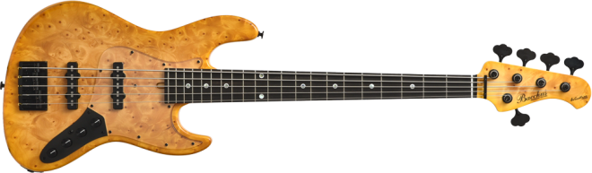 AYB(オータムイエローバースト) AYB(オータムイエローバースト)